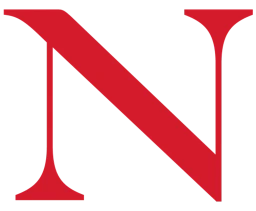 Northeastern University Professional Programs logo