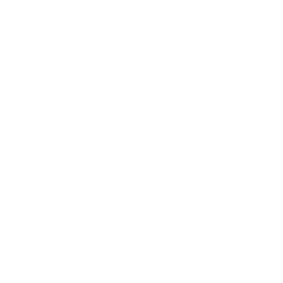 Denver Seminary logo