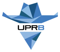 University of Puerto Rico logo