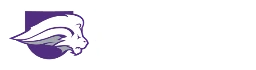 Nelson University logo