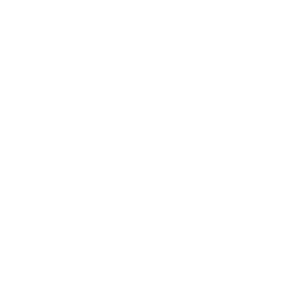 The School of Architecture logo