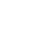 Texas Chiropractic College Foundation Inc logo