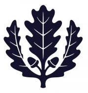 University of Connecticut-Stamford logo